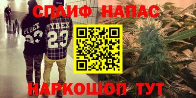 apvp Краснодар