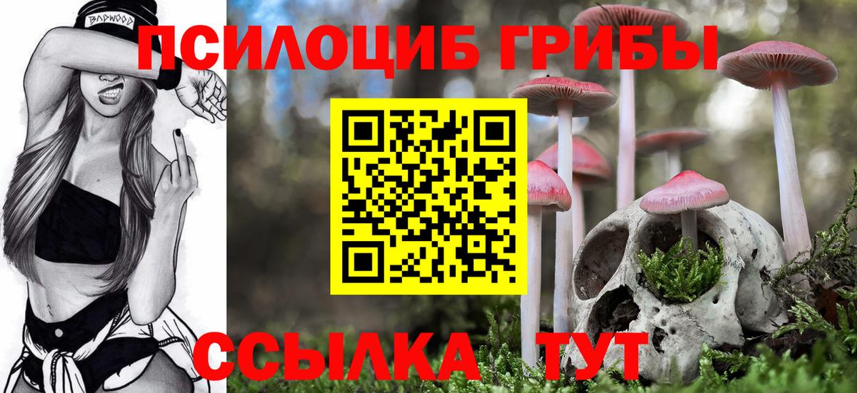 Галлюциногенные грибы Psilocybe Ипатово