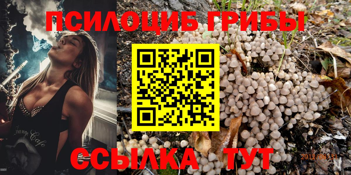Псилоцибиновые грибы Psilocybine cubensis  Вход с VPN  Ипатово 